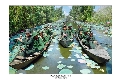 Để dòng sông bình yên